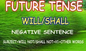 Will/Shall Negative sentence in Simple future tense |Top Eng